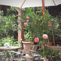 Rosen und Sitzgelegenheiten im Gastgarten von Ela Mesa